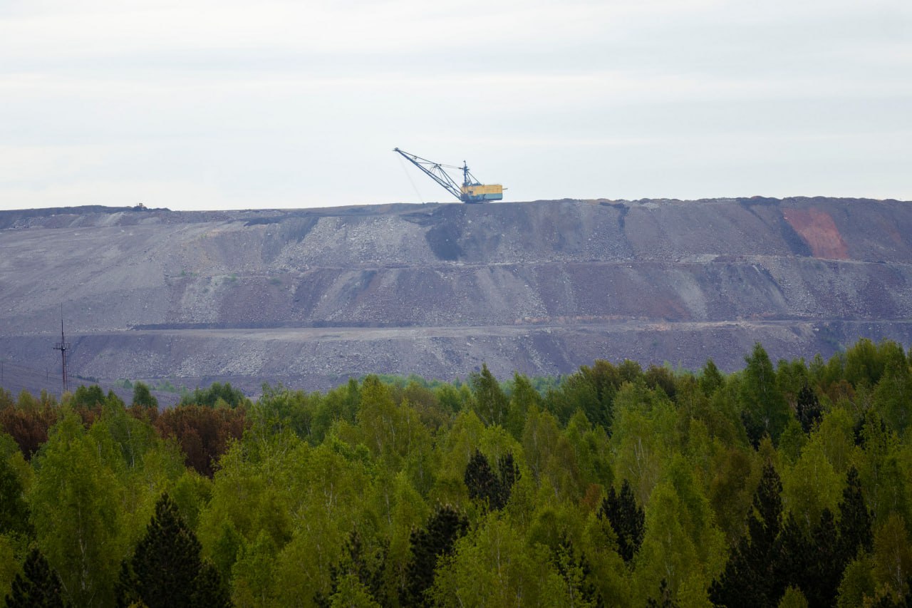 «Кузбассразрезуголь» в 1,5 раза увеличил площадь рекультивированных земель в 2025 году