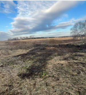 В Яшкинском районе прокуратура добилась ликвидации незаконной свалки