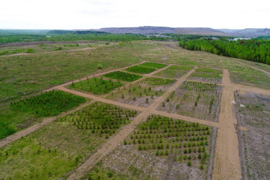 «Кузбассразрезуголь» улучшил позиции в рэнкинге экологической открытости горнодобывающих и металлургических компаний