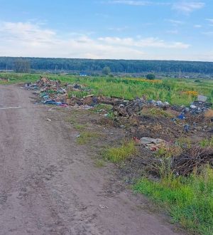 В Чебулинском округе после вмешательства прокуратуры разобрали свалку