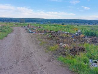 В Чебулинском округе после вмешательства прокуратуры разобрали свалку