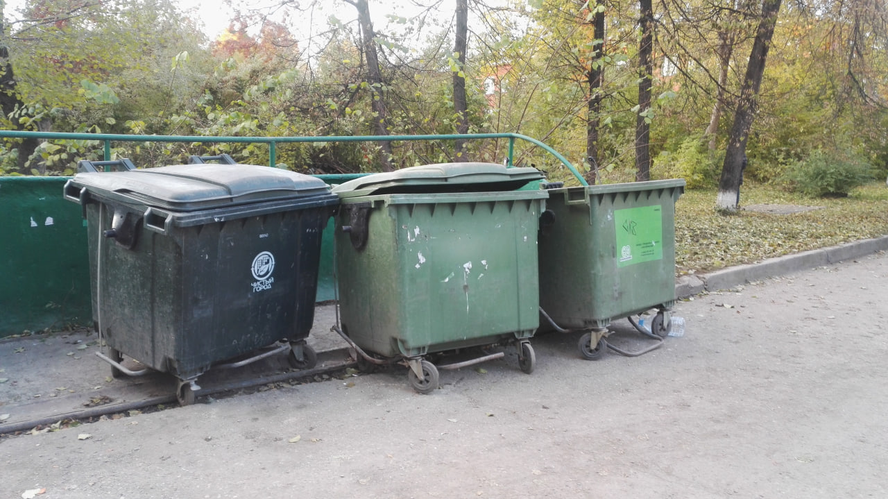 Глава Новокузнецкого округа попросил снимать на камеру нарушителей чистоты
