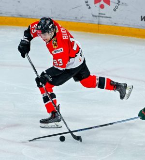 «Кузнецкие Медведи» проиграли «Ирбису» первый домашний матч