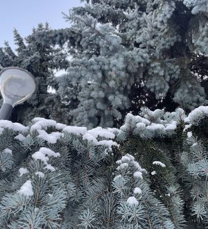 Кузбассовцев предупредили о «новогодних» штрафах