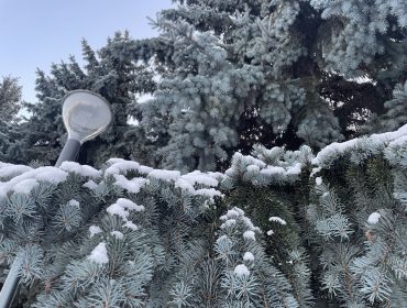 От -25 до -1: температурные «качели» ждут кузбассовцев в ближайшие сутки