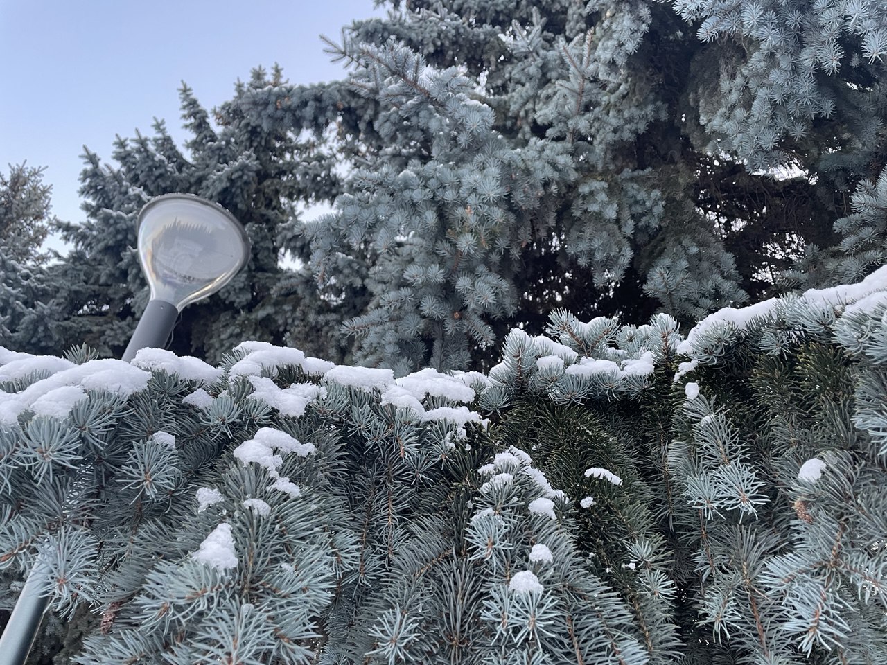 Кузбассовцев предупредили о «новогодних» штрафах