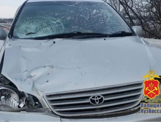 В Кузбассе женщина-пешеход погибла под колесами иномарки на переходе