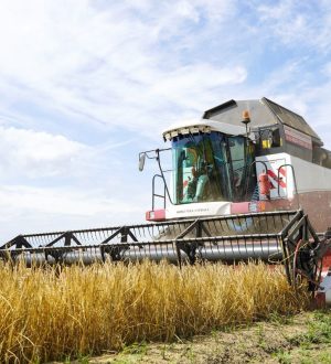 В Кузбассе за год выросли показатели во всех сельскохозяйственных направлениях