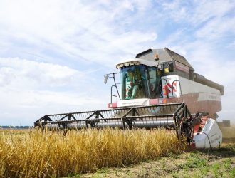 В Кузбассе за год выросли показатели во всех сельскохозяйственных направлениях
