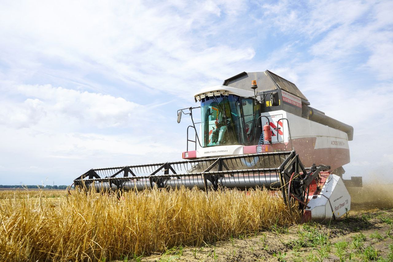В Кузбассе за год выросли показатели во всех сельскохозяйственных направлениях