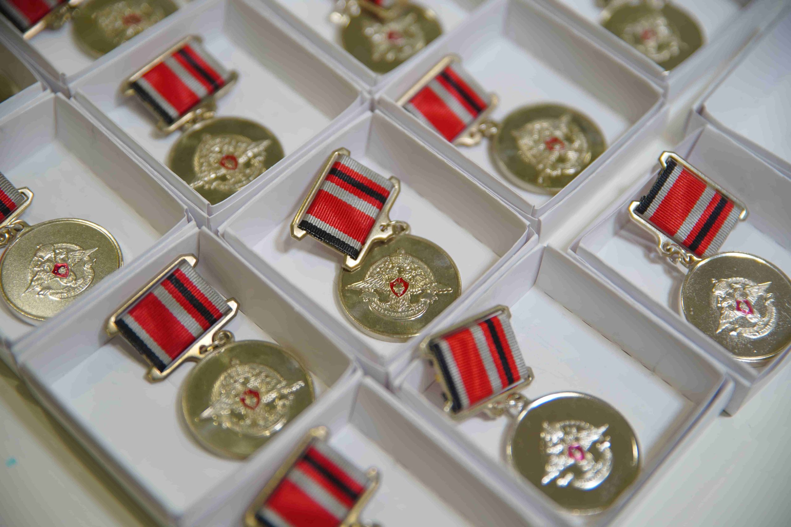 В Кузбассе семьям погибших на СВО бойцов вручили памятные знаки