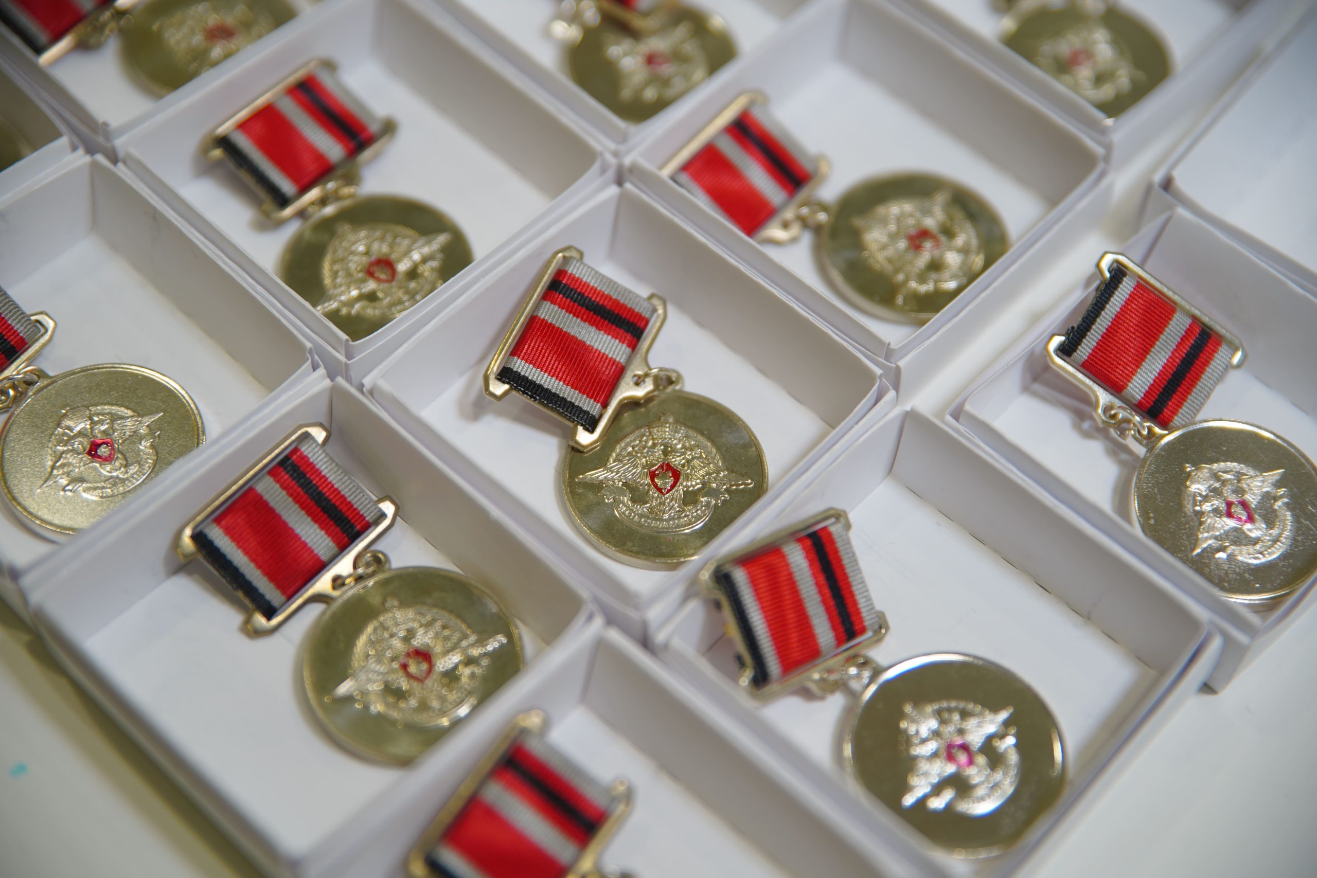 В Кузбассе семьям погибших на СВО бойцов вручили памятные знаки