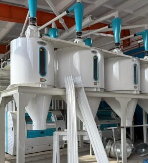 Компании из Кузбасса получили национальные знаки качества «Сделано в России»