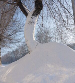 Нынешние январские снегопады в Кемерове стали самыми мощными за 16 лет