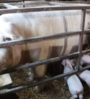 Кузбассовцы открывают бизнес благодаря социальному контракту