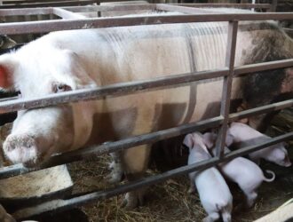 Кузбассовцы открывают бизнес благодаря социальному контракту