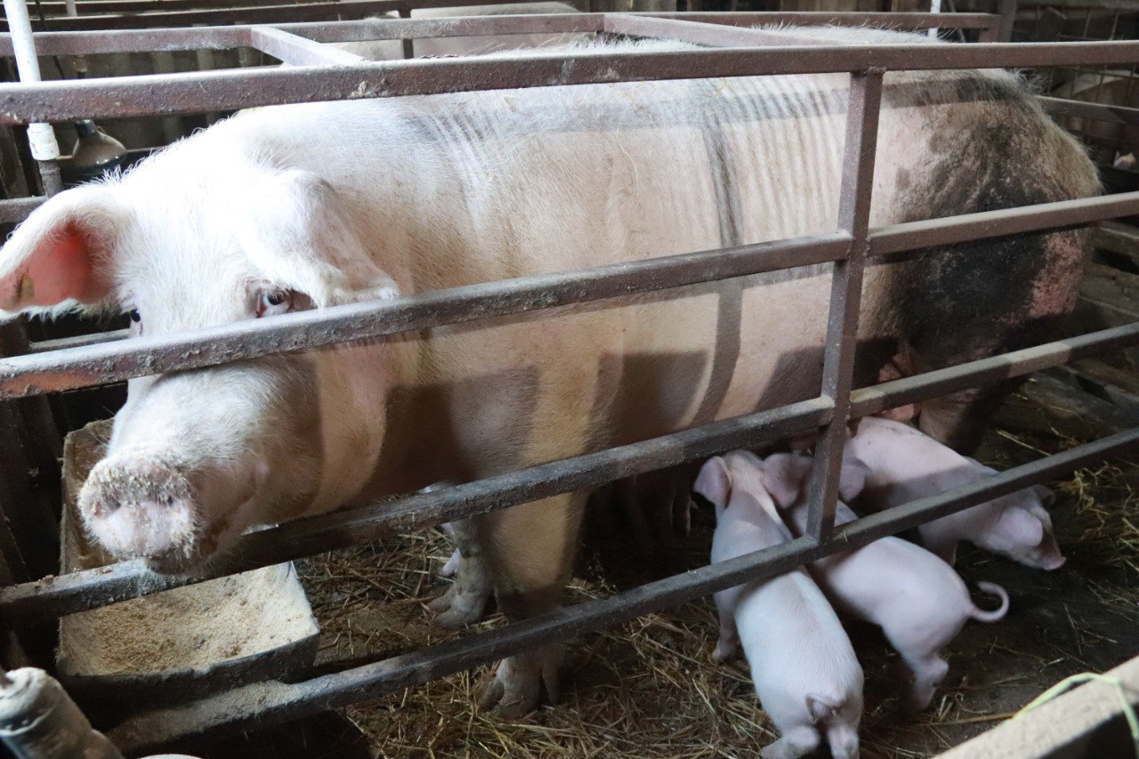 Кузбассовцы открывают бизнес благодаря социальному контракту