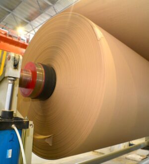 Бережливые технологии помогают кузбасской компании оптимизировать производство бумаги и картона из вторсырья