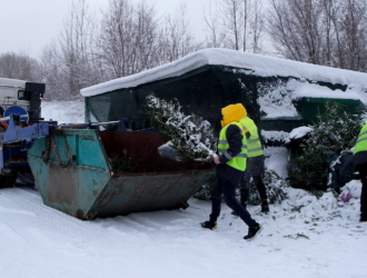 В Новокузнецке в рамках акции «Елки-игоголки» в конные клубы отправили первую партию новогодних деревьев
