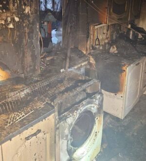 В Белове пожарные спасли собаку из горящего дома