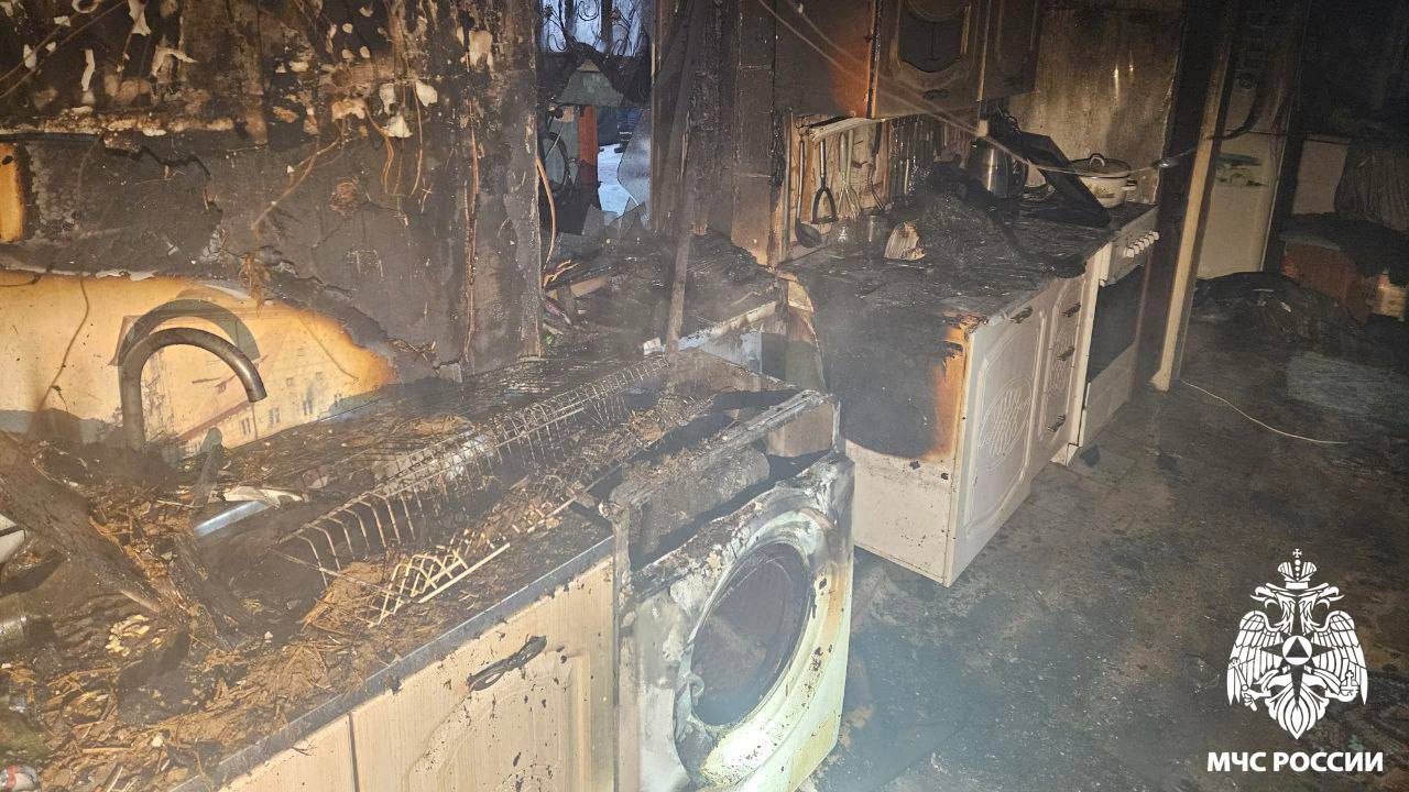 В Белове пожарные спасли собаку из горящего дома