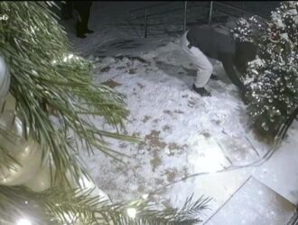 В Осинниках завершено расследование дела о краже новогодней ели