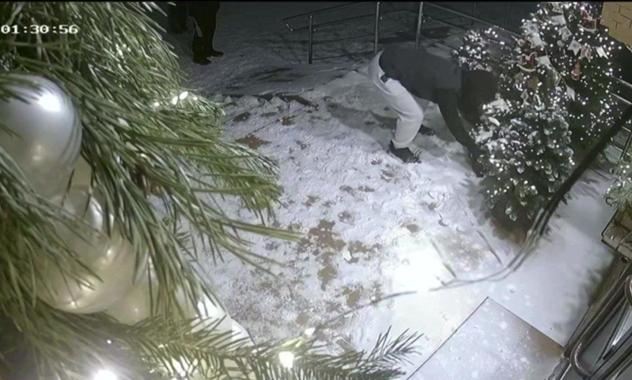В Осинниках завершено расследование дела о краже новогодней ели