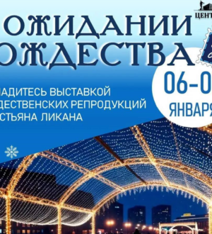 В Новокузнецке к Рождеству представят уникальную уличную выставку  