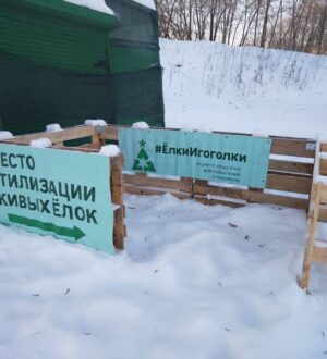 В Новокузнецке стартовала акция по сбору новогодних елей