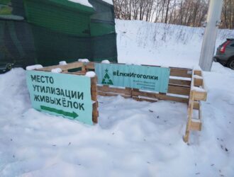 В Новокузнецке стартовала акция по сбору новогодних елей