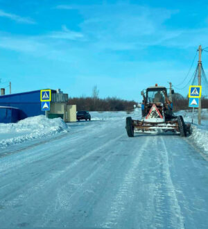 Губернатор Кузбасса попросил предприятия региона помочь с уборкой снега