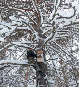 В Рудничном бору в Кемерове появились новые домики для сов