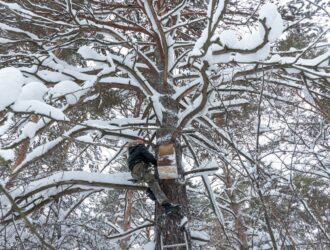 В Рудничном бору в Кемерове появились новые домики для сов