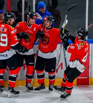 «Кузнецкие Медведи» дома одержали волевую победу над «Снежными Барсами»