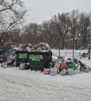 Мэр Кемерова встретился с представителями «Чистого города» после жалоб на невывоз мусора