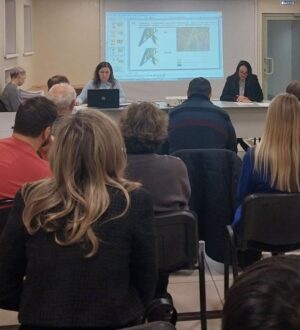 В Кемерове разрешили спор между дачниками и экологами по поводу Красного бора  