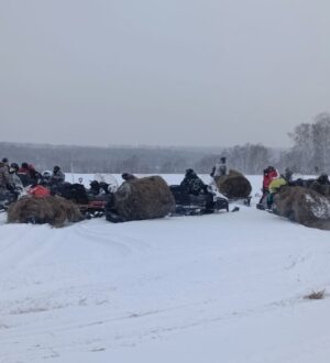 В Кемеровском районе организовали акцию помощи диким животным
