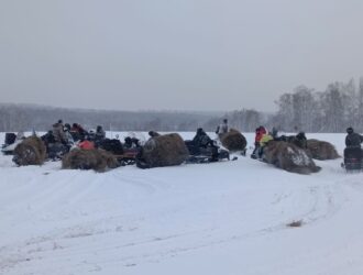 В Кемеровском районе организовали акцию помощи диким животным