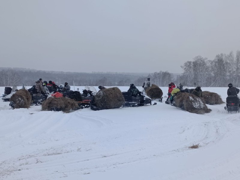 В Кемеровском районе организовали акцию помощи диким животным