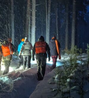 В Кузбассе в прошлом месяце нашли более 200 пропавших человек