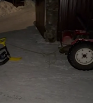 Опасные катания юных новокузнечан завершились протоколами и штрафами