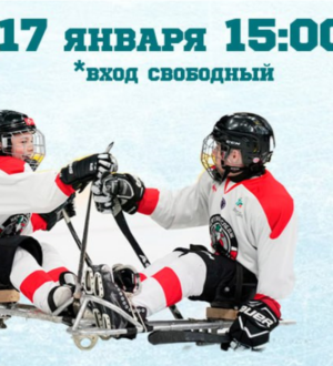 В Новокузнецке пройдет мастер-класс по следж-хоккею