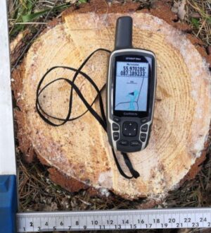 В Ижморском округе ищут злоумышленников, которые на особо охраняемой территории незаконно спилили деревья