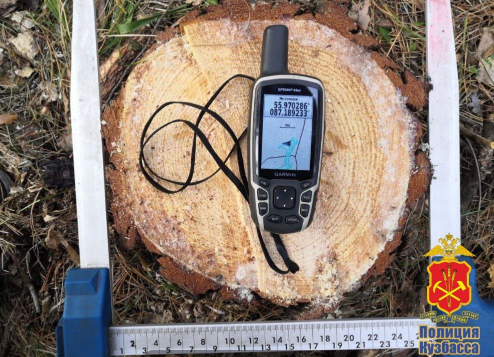 В Ижморском округе ищут злоумышленников, которые на особо охраняемой территории незаконно спилили деревья