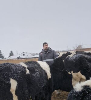 Кузбасские фермеры за три года получили поддержку на 400 млн рублей