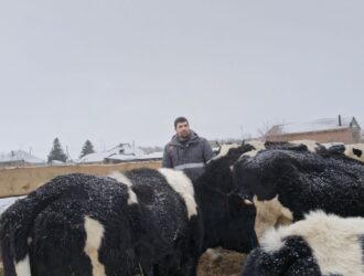 Кузбасские фермеры за три года получили поддержку на 400 млн рублей