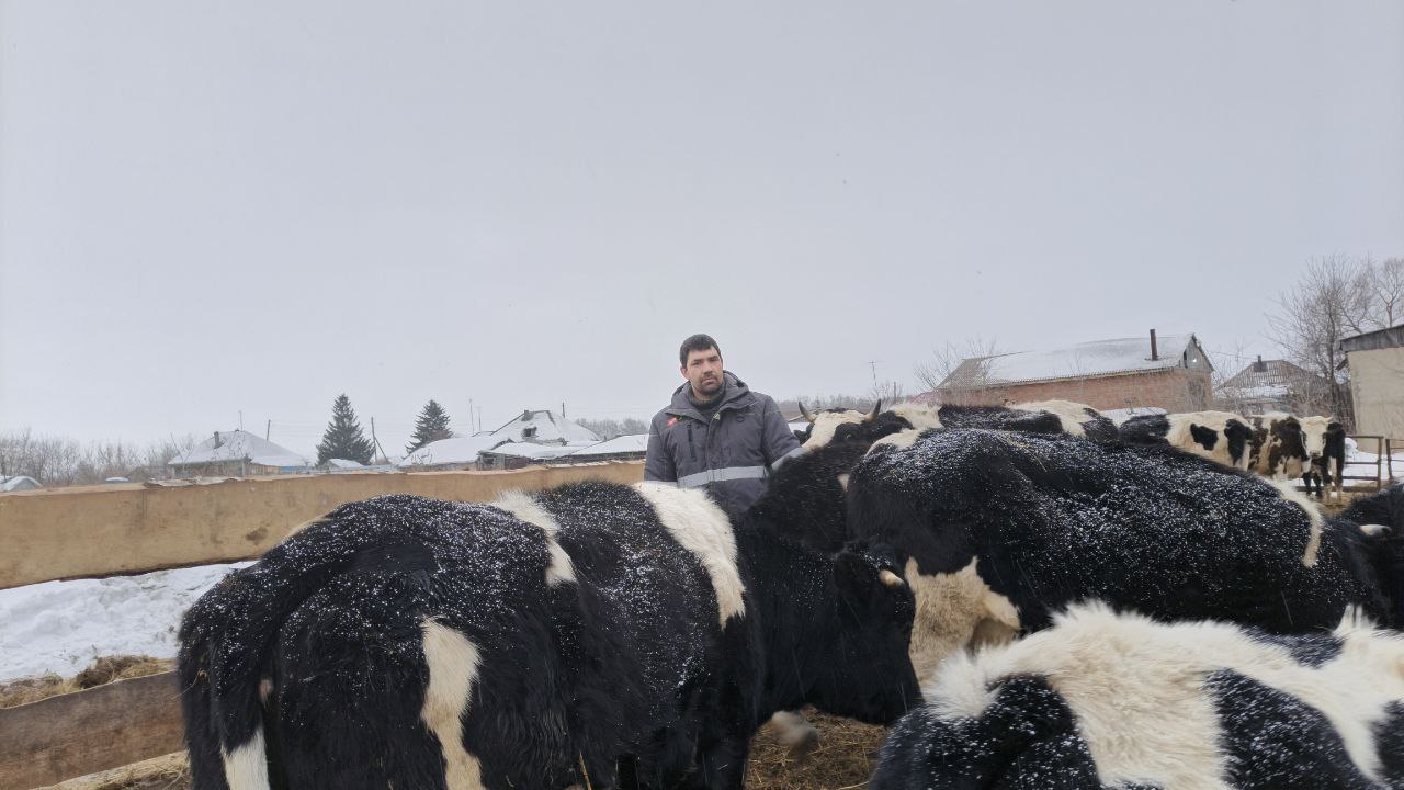 Кузбасские фермеры за три года получили поддержку на 400 млн рублей