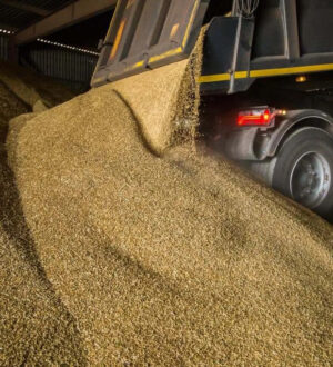 Кузбасские аграрии смогут вернуть до 100% затрат на логистику