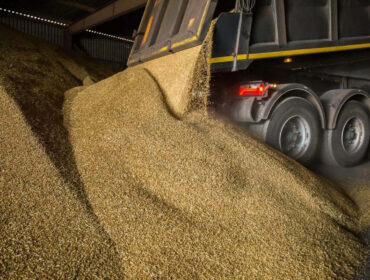 Кузбасские аграрии смогут вернуть до 100% затрат на логистику