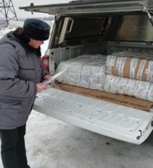 Гонконгу понадобились маральи хвосты из Кузбасса